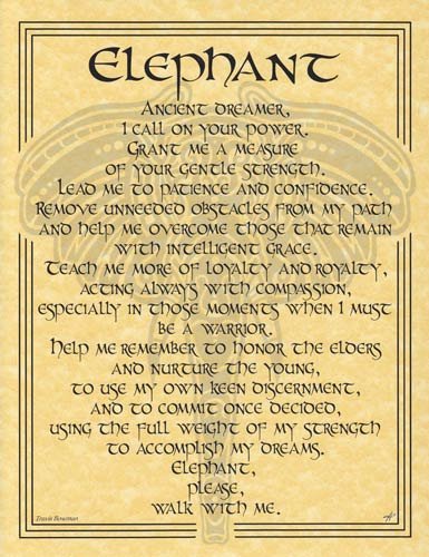 (image for) Elephant