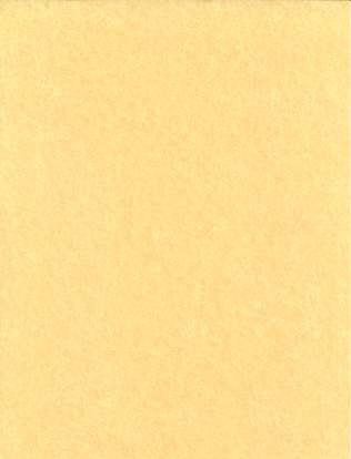 (image for) 5pk 8 1/2"x11" light parchment