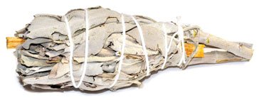 (image for) 4" Sage & Palo Santo smudge (not bagged)